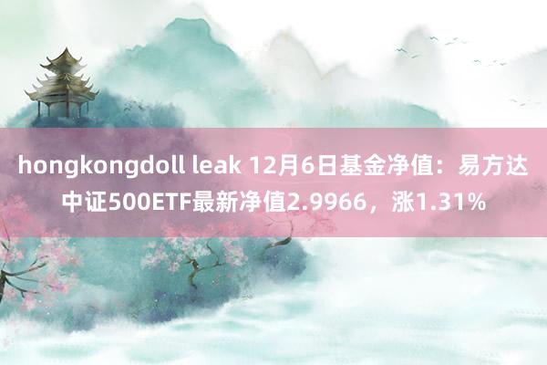 hongkongdoll leak 12月6日基金净值：易方达中证500ETF最新净值2.9966，涨1.31%