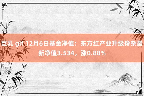 巨乳 gif 12月6日基金净值：东方红产业升级搀杂最新净值3.534，涨0.88%