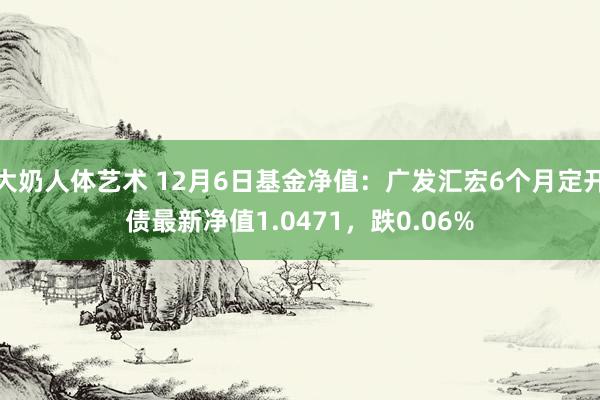 大奶人体艺术 12月6日基金净值：广发汇宏6个月定开债最新净值1.0471，跌0.06%