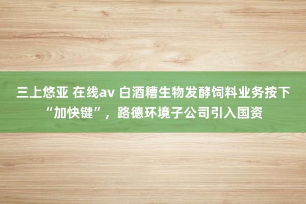 三上悠亚 在线av 白酒糟生物发酵饲料业务按下“加快键”，路德环境子公司引入国资