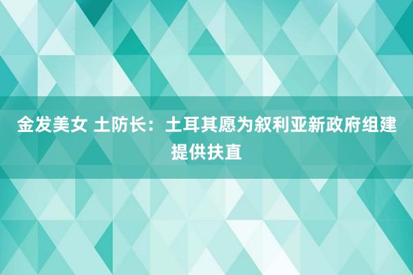 金发美女 土防长：土耳其愿为叙利亚新政府组建提供扶直