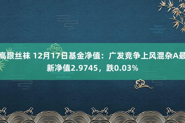 高跟丝袜 12月17日基金净值：广发竞争上风混杂A最新净值2.9745，跌0.03%