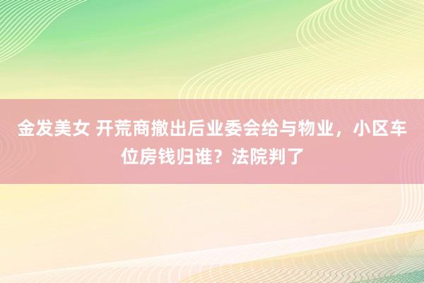 金发美女 开荒商撤出后业委会给与物业，小区车位房钱归谁？法院判了