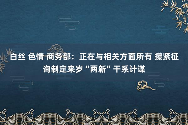 白丝 色情 商务部：正在与相关方面所有 攥紧征询制定来岁“两新”干系计谋