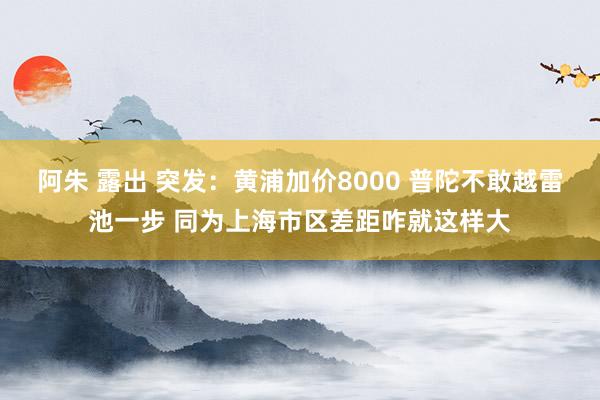 阿朱 露出 突发：黄浦加价8000 普陀不敢越雷池一步 同为上海市区差距咋就这样大