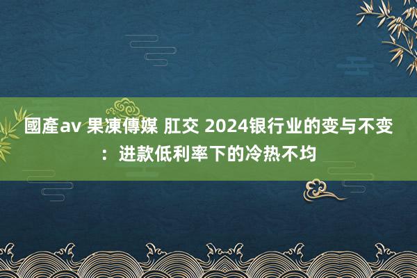 國產av 果凍傳媒 肛交 2024银行业的变与不变：进款低利率下的冷热不均