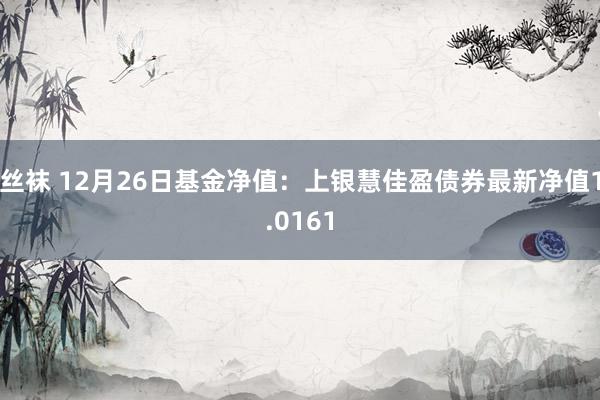 丝袜 12月26日基金净值：上银慧佳盈债券最新净值1.0161