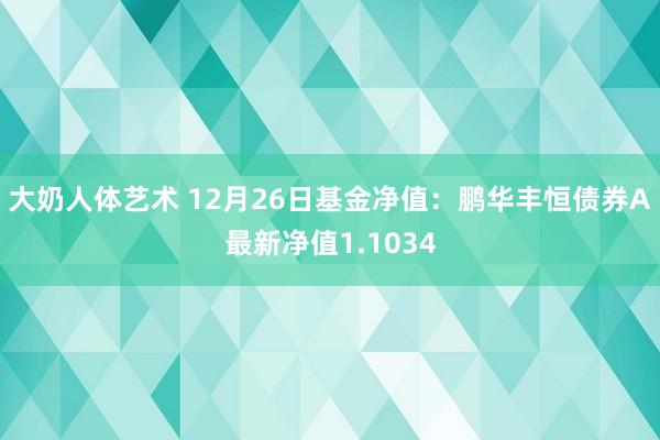 大奶人体艺术 12月26日基金净值：鹏华丰恒债券A最新净值1.1034