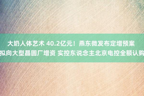 大奶人体艺术 40.2亿元！燕东微发布定增预案 拟向大型晶圆厂增资 实控东说念主北京电控全额认购