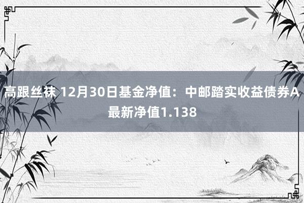 高跟丝袜 12月30日基金净值：中邮踏实收益债券A最新净值1.138