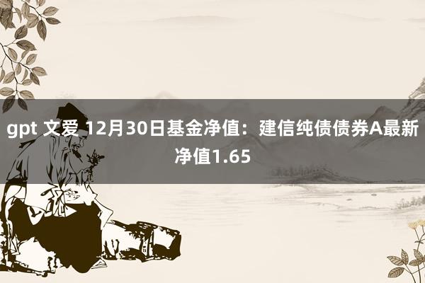 gpt 文爱 12月30日基金净值：建信纯债债券A最新净值1.65