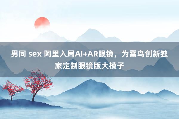 男同 sex 阿里入局AI+AR眼镜，为雷鸟创新独家定制眼镜版大模子