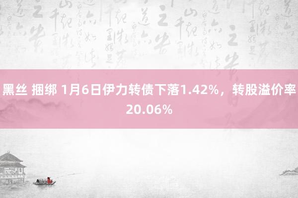 黑丝 捆绑 1月6日伊力转债下落1.42%，转股溢价率20.06%