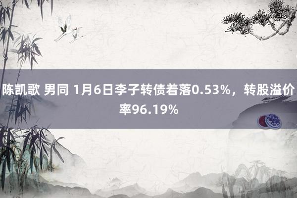 陈凯歌 男同 1月6日李子转债着落0.53%，转股溢价率96.19%