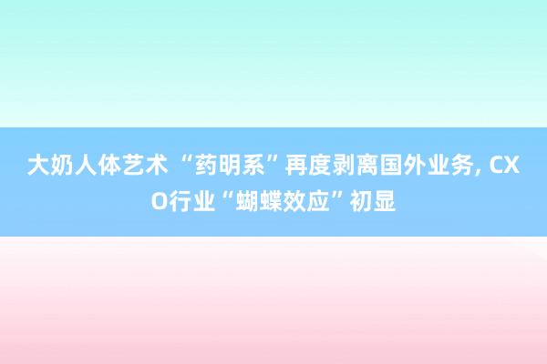 大奶人体艺术 “药明系”再度剥离国外业务， CXO行业“蝴蝶效应”初显