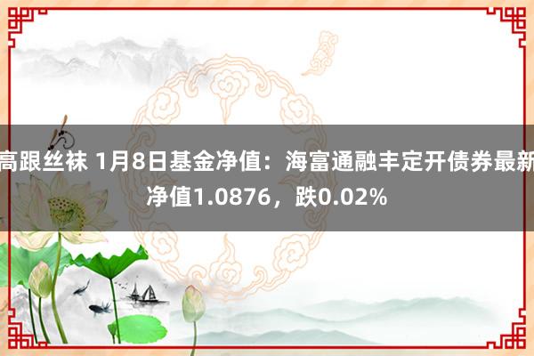 高跟丝袜 1月8日基金净值：海富通融丰定开债券最新净值1.0876，跌0.02%