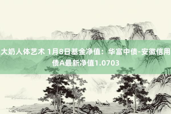 大奶人体艺术 1月8日基金净值：华富中债-安徽信用债A最新净值1.0703